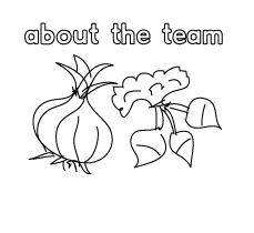 about the team